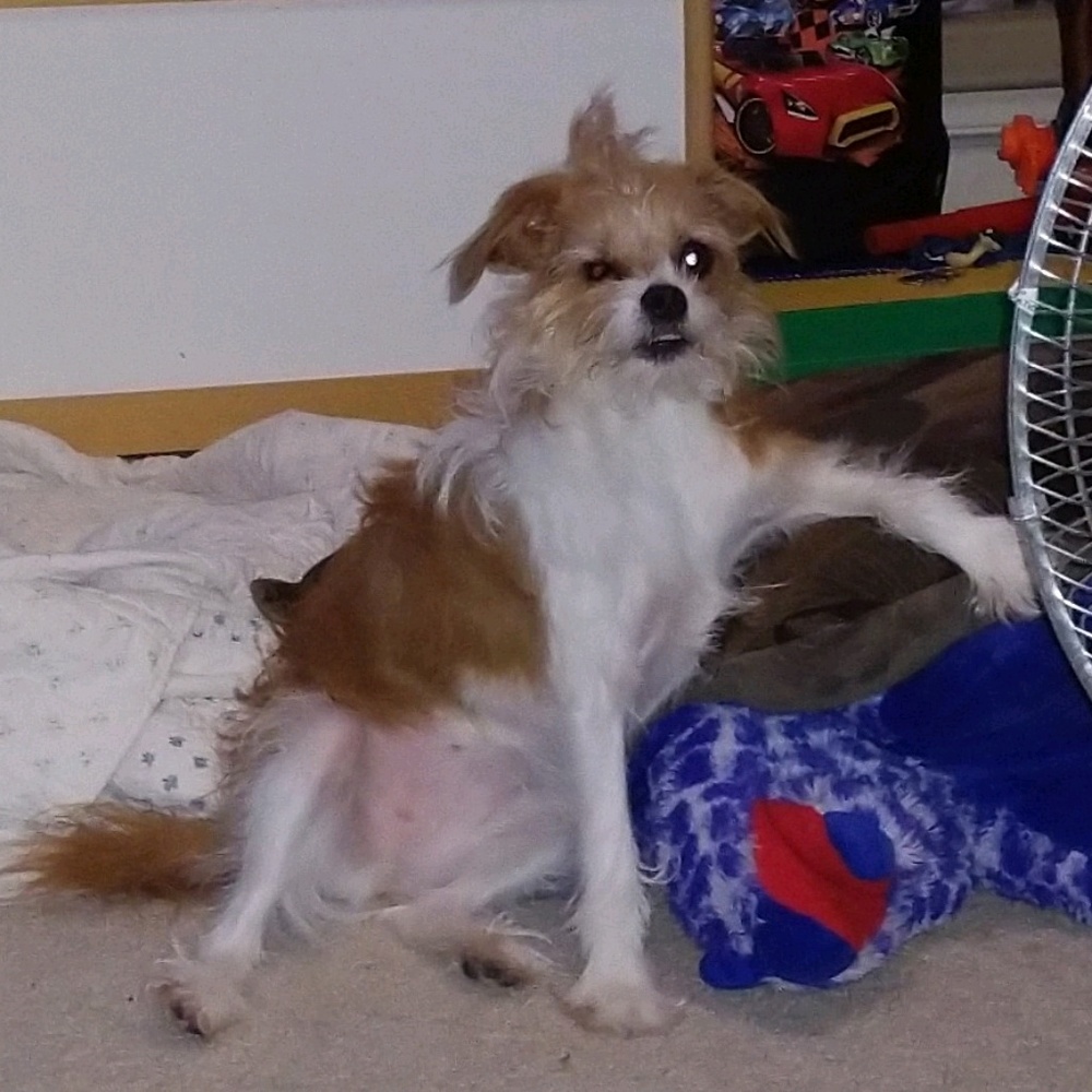 Meet your Posher, Jessica